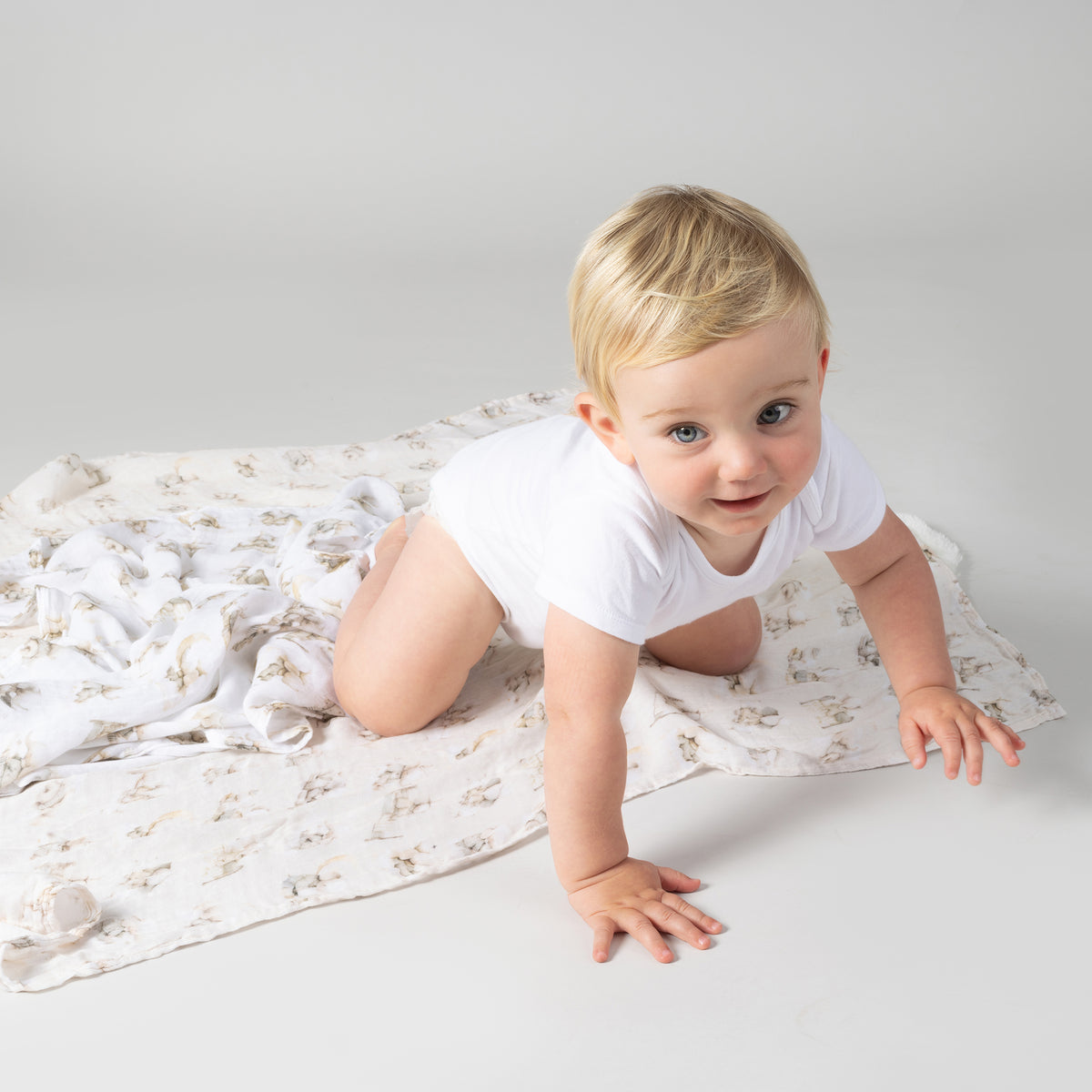 Elephant Bedtime 3pk Muslin Wraps - Bubba Blue Australia