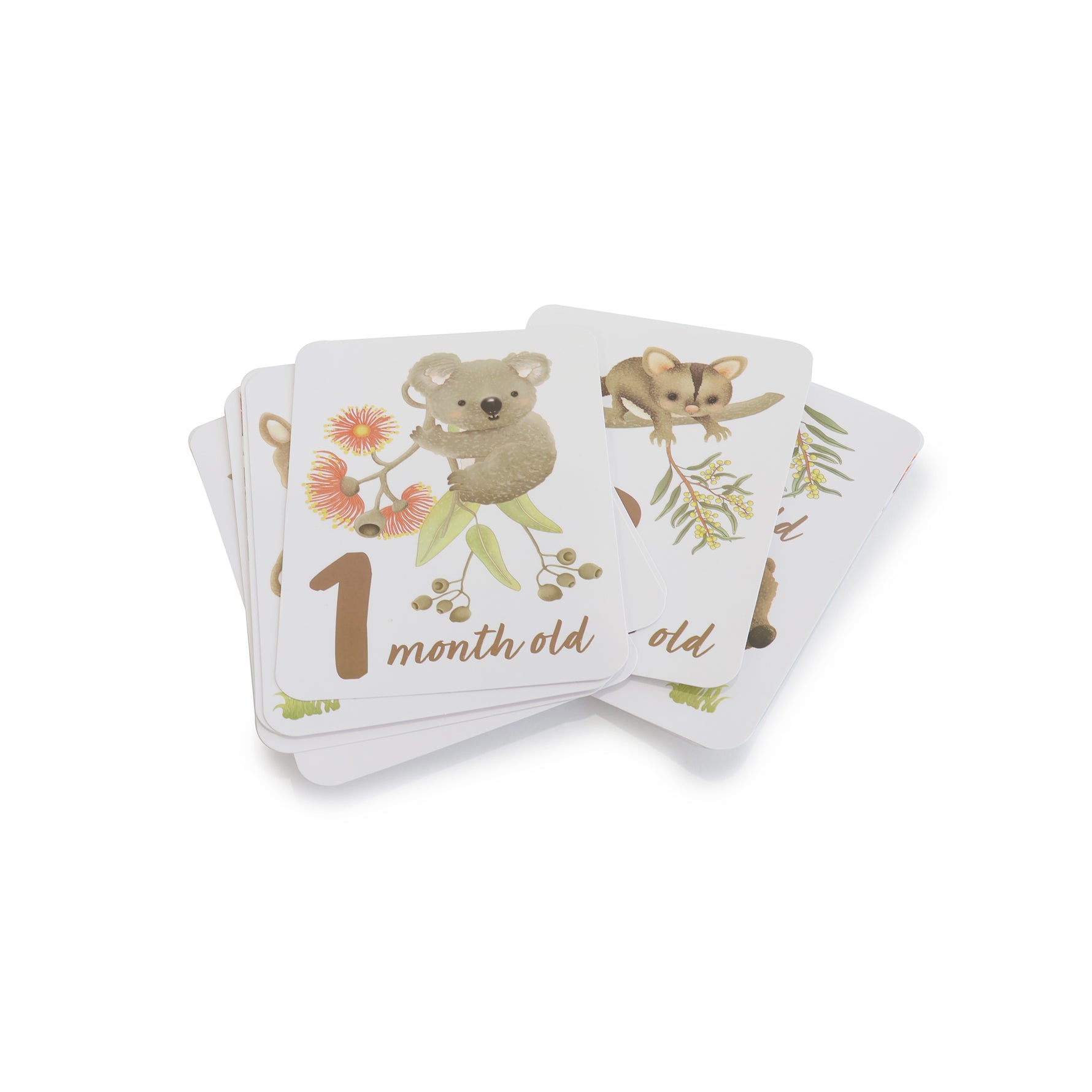 Aussie Animals Hello World Gift Set - Bubba Blue Australia