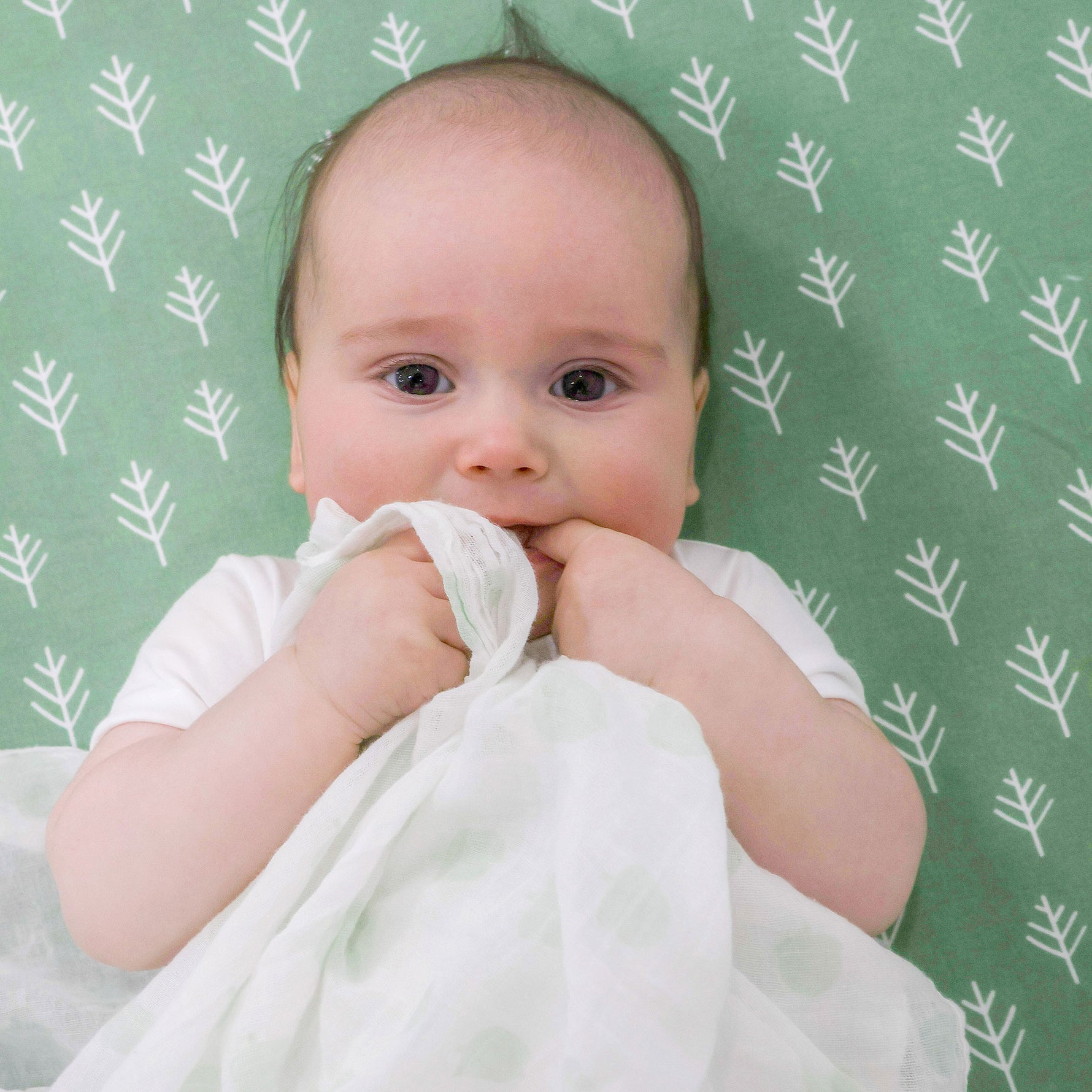 Nordic 3pk Muslin Wraps Avocado/Forest - Bubba Blue Australia